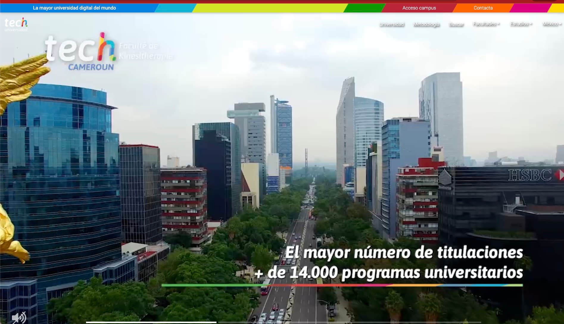 Caso TECH Universidad