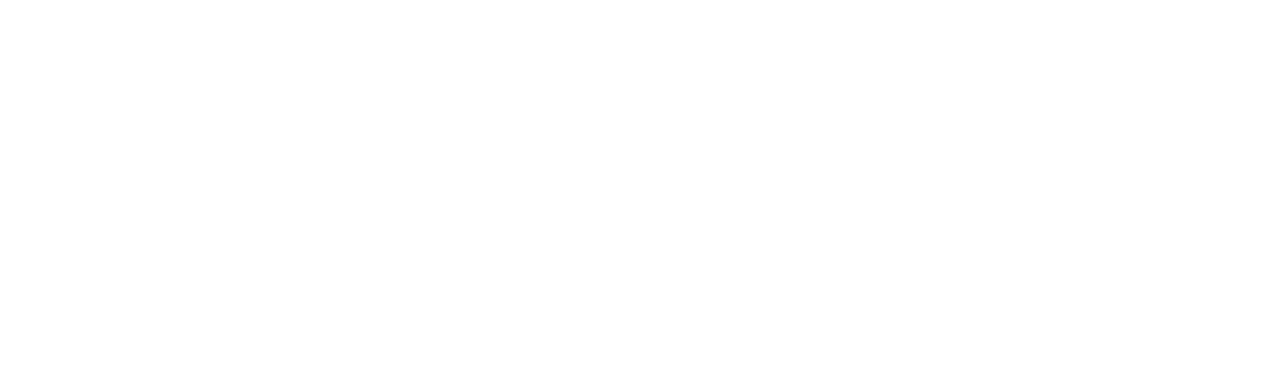 Soleia Surf